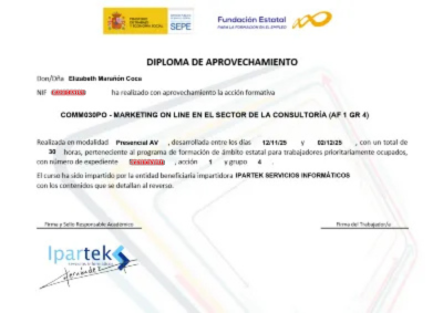 Diploma de Marketing Online en el Sector de la Consultoría
